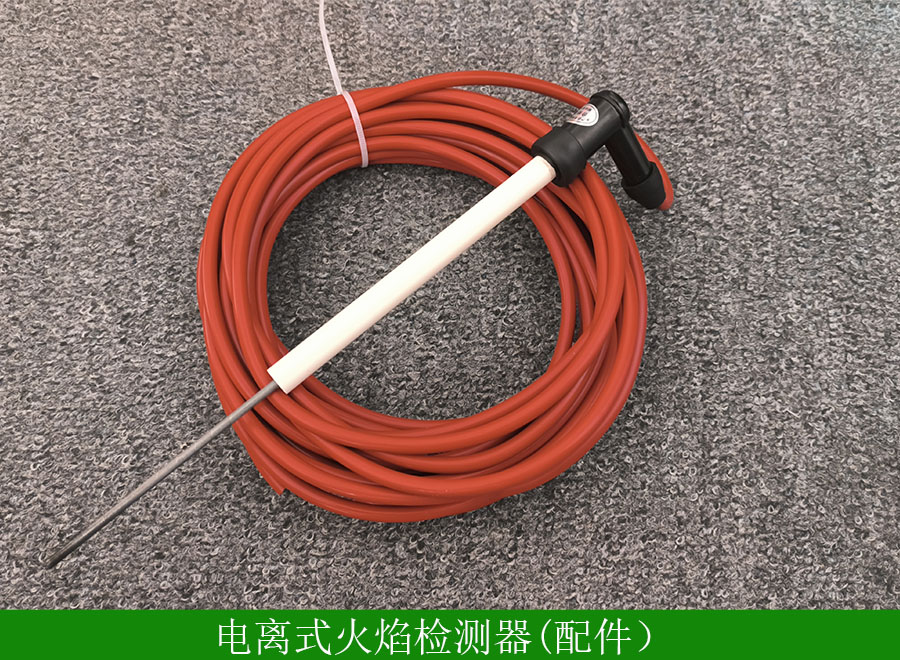 電離式火焰檢測(cè)器FRDJ-104