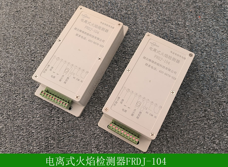 電離式火焰檢測(cè)器FRDJ-104