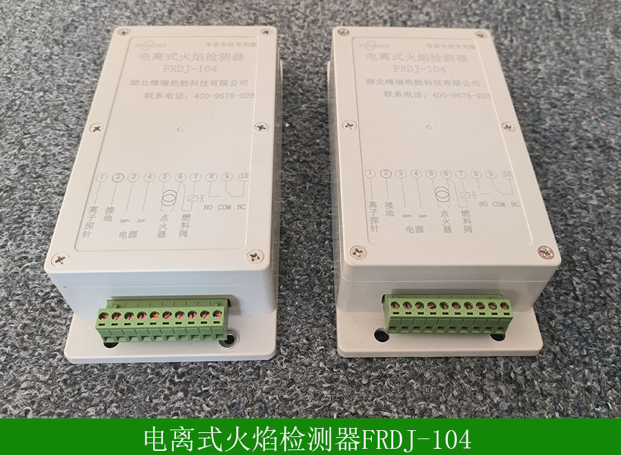 電離式火焰檢測(cè)器FRDJ-104